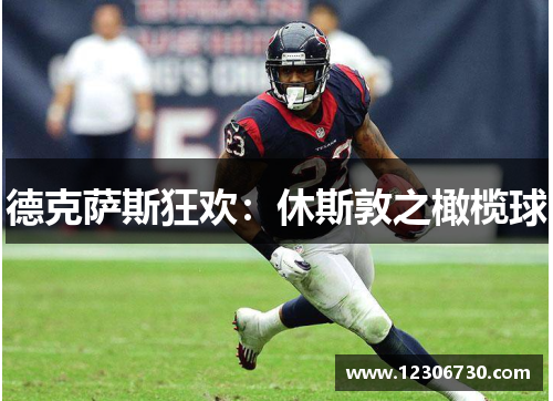 德克萨斯狂欢：休斯敦之橄榄球