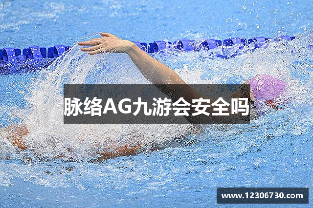 脉络AG九游会安全吗